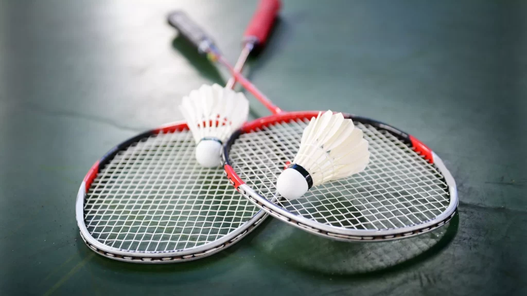 Which Badminton Racket Should You Use