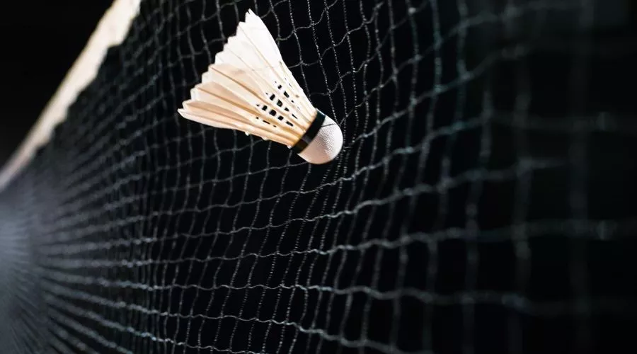 Benefits of hitting the net